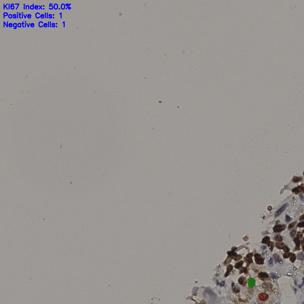 slice_29_25_x25984_y22400.png