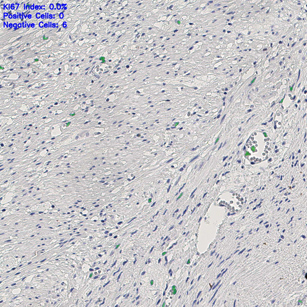 slice_12_27_x10752_y24192.png