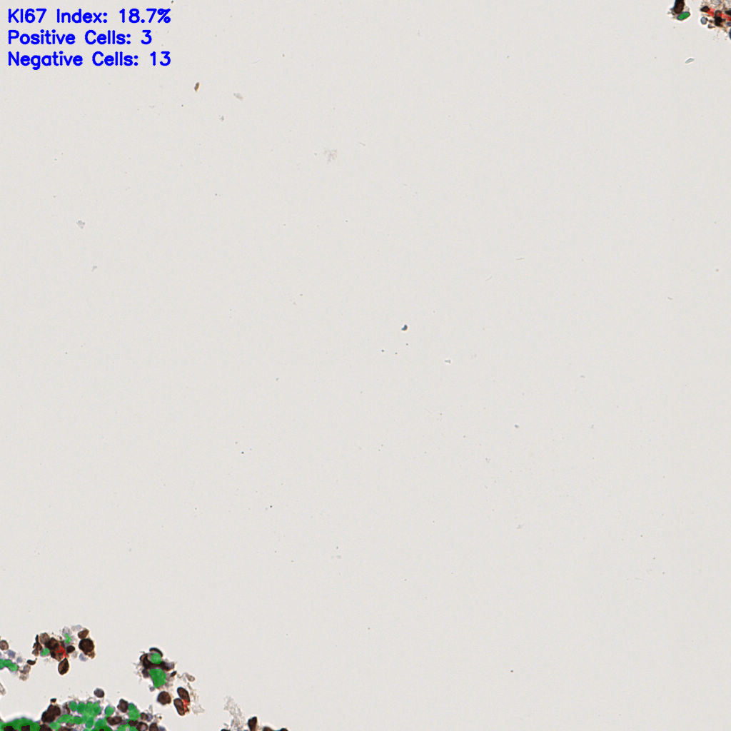 slice_41_8_x36736_y7168.png
