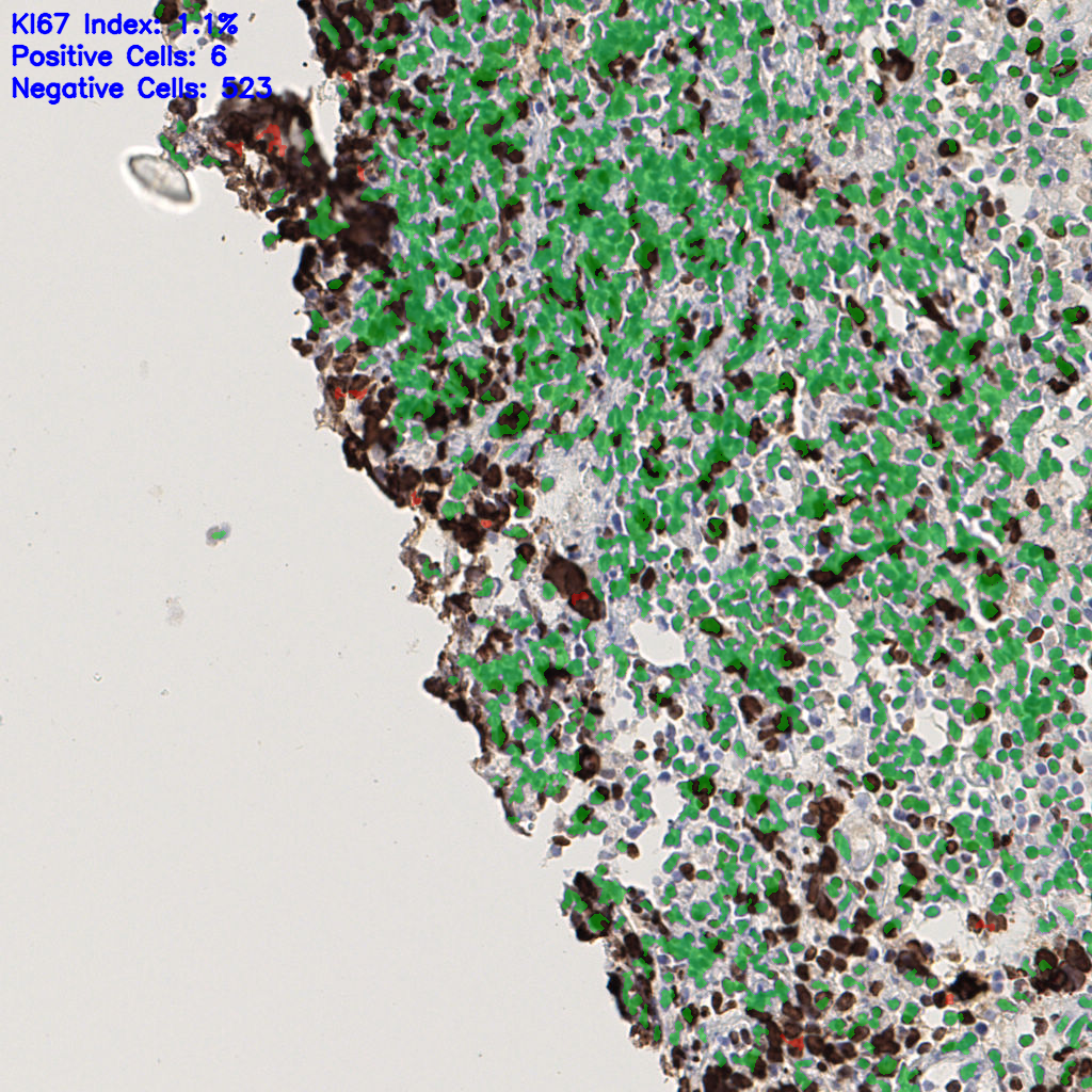slice_43_8_x38528_y7168.png