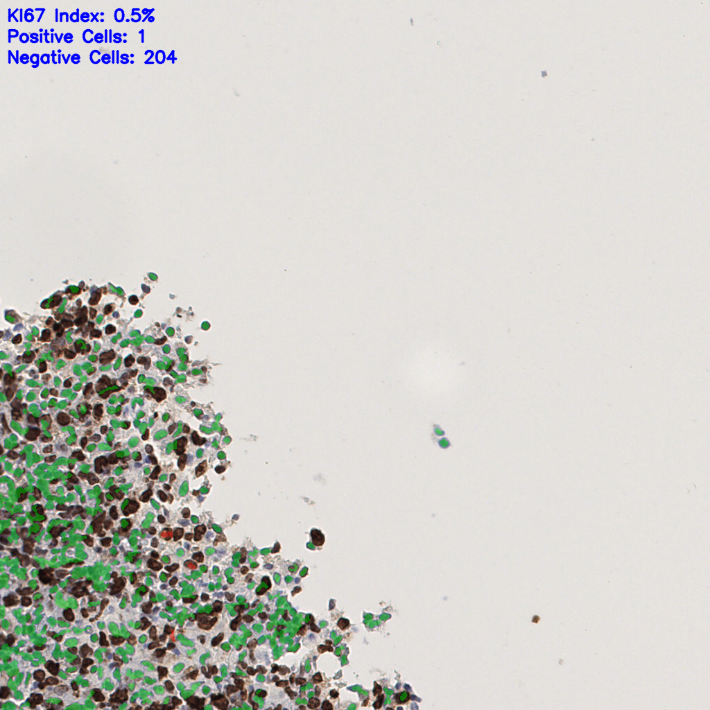 slice_46_4_x41216_y3584.png