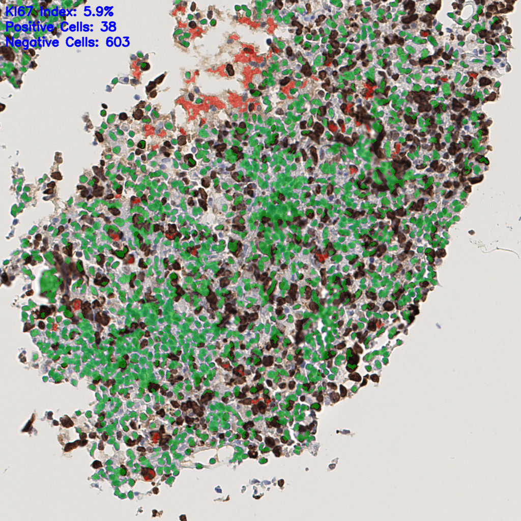 slice_48_8_x43008_y7168.png