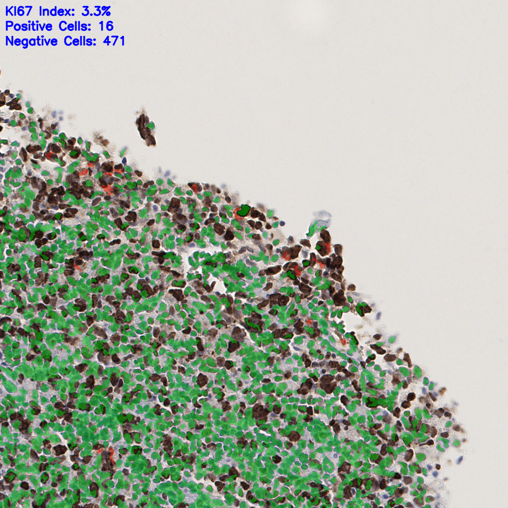 slice_54_16_x48384_y14336.png