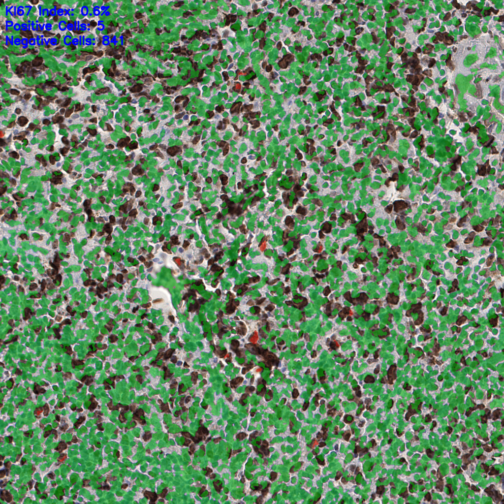 slice_54_18_x48384_y16128.png