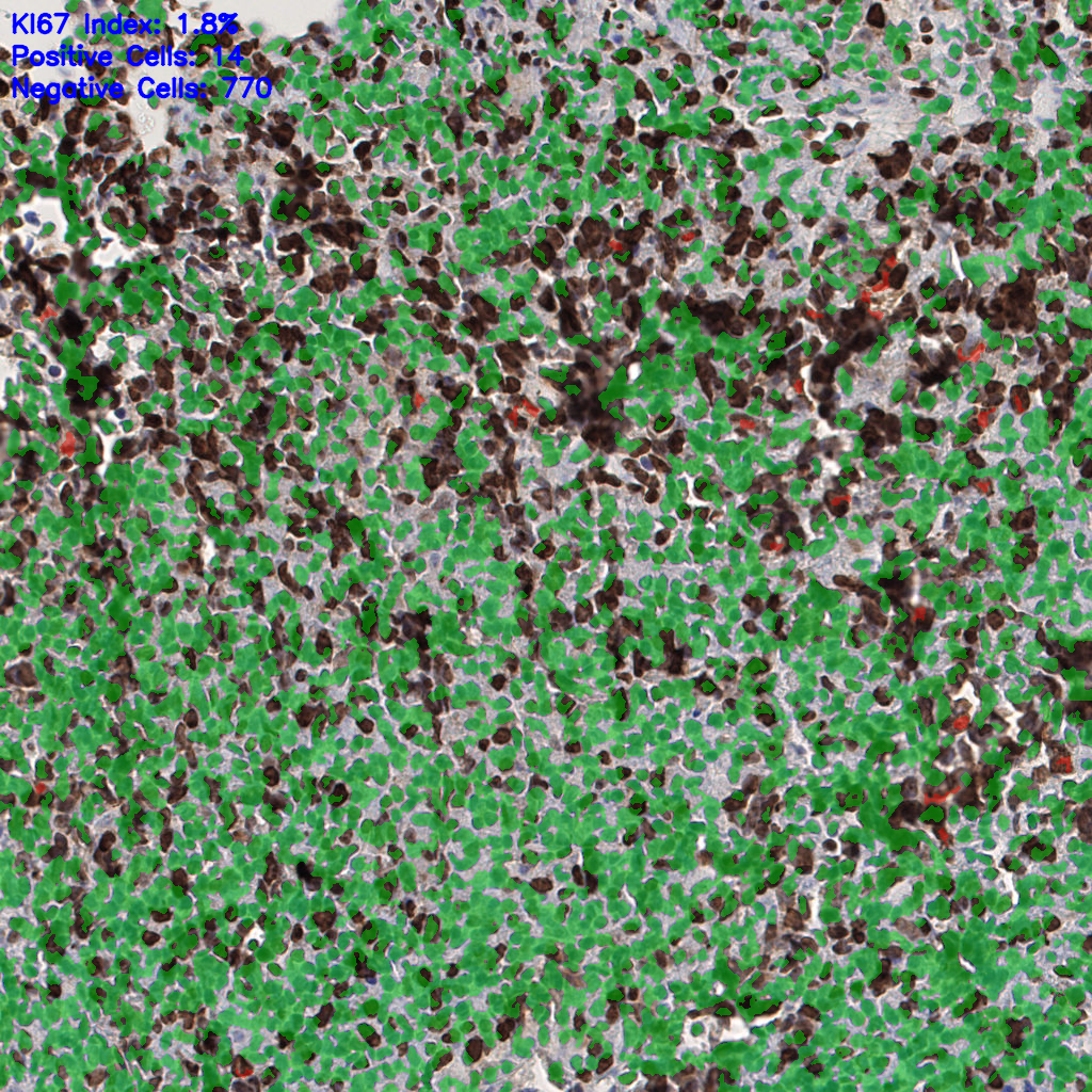 slice_54_3_x48384_y2688.png
