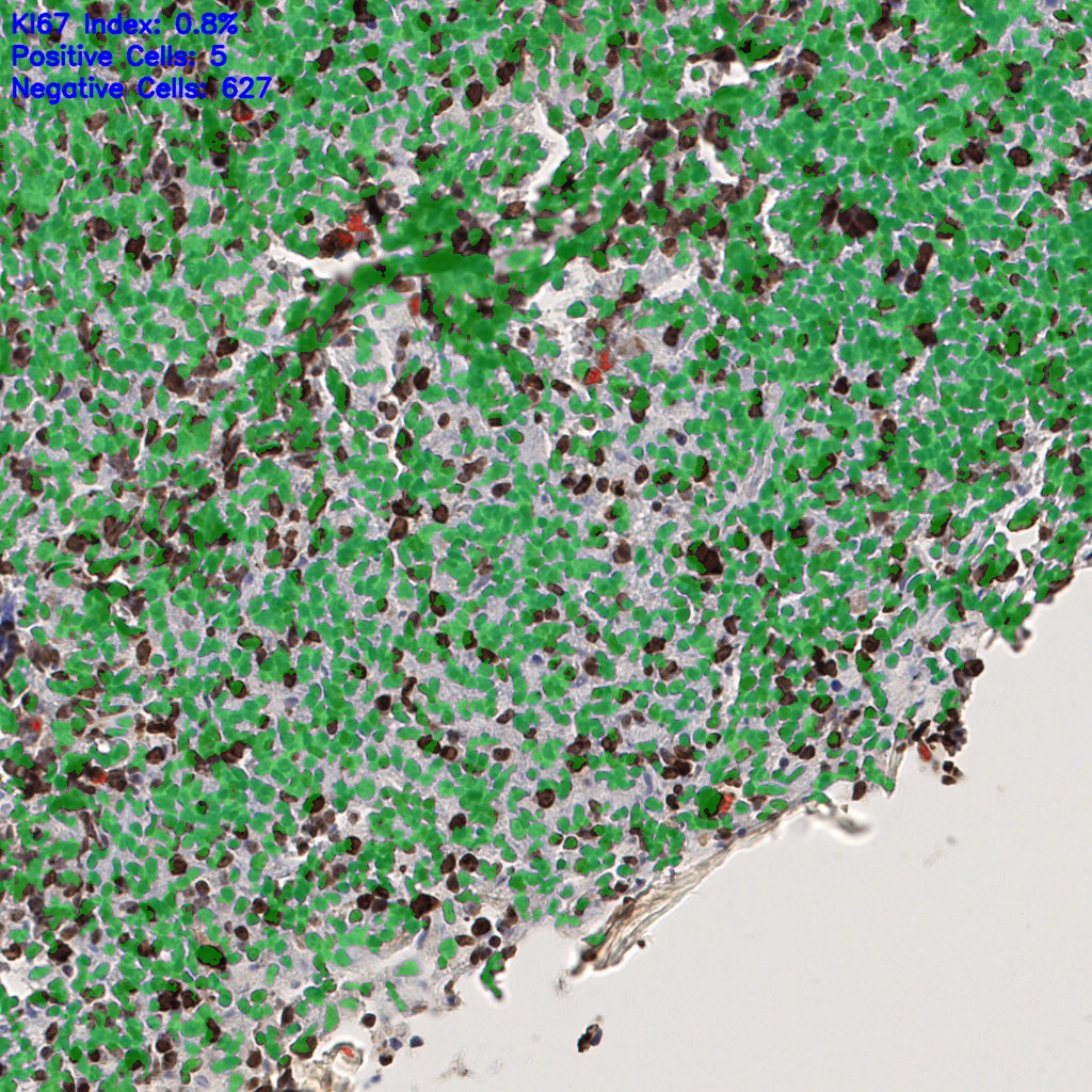 slice_54_4_x48384_y3584.png