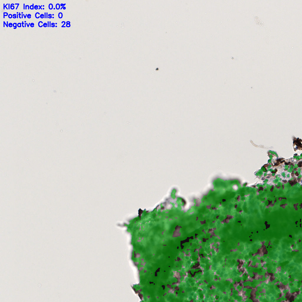 slice_56_8_x50176_y7168.png