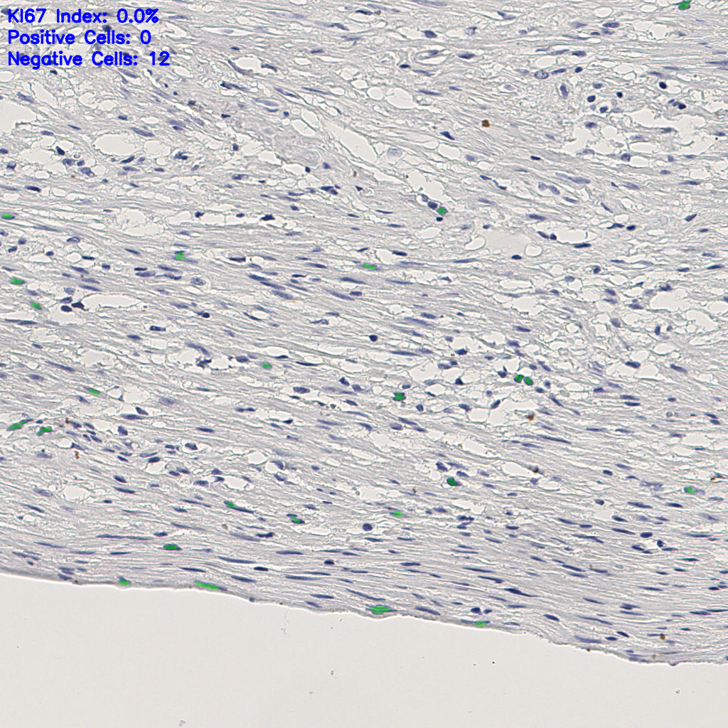 slice_9_28_x8064_y25088.png