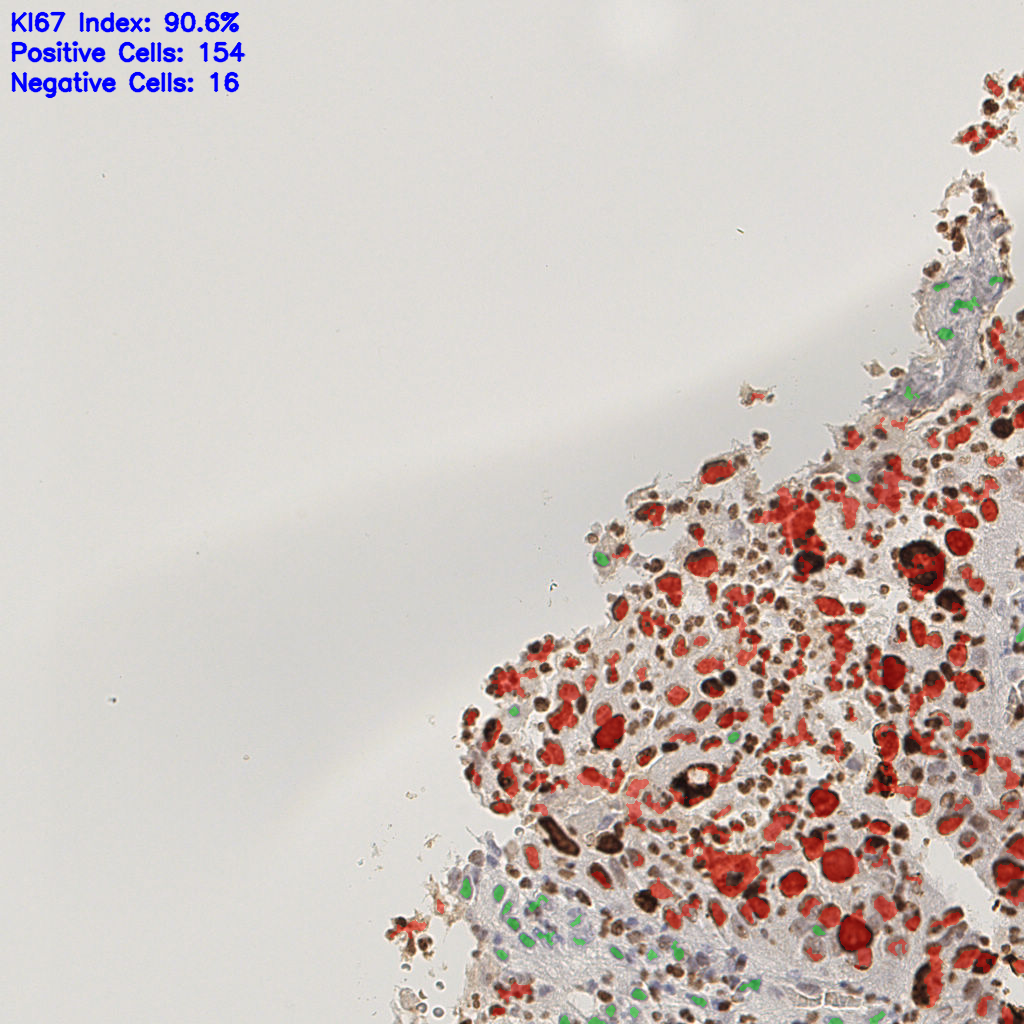 slice_16_16_x14336_y14336.png