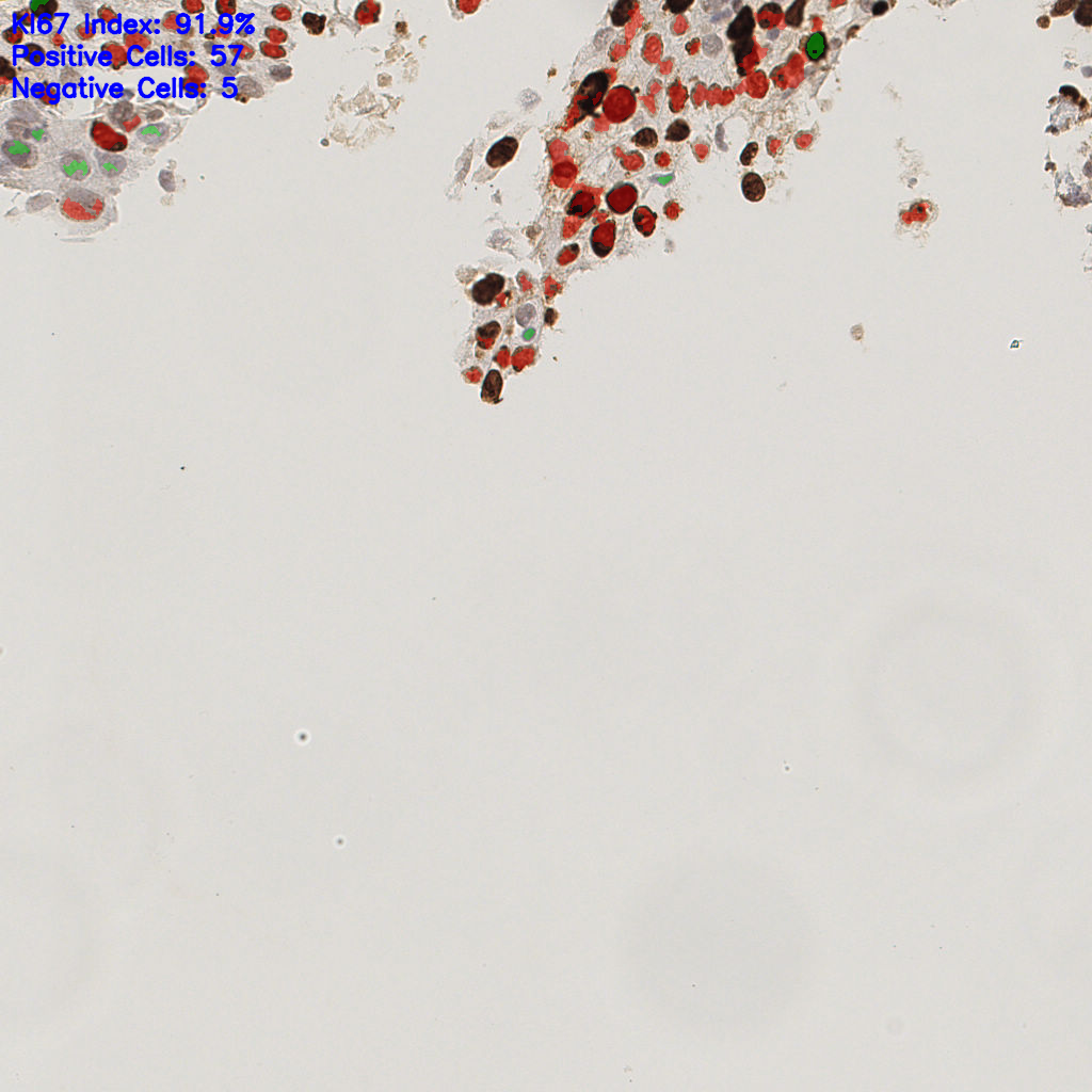 slice_40_9_x35840_y8064.png