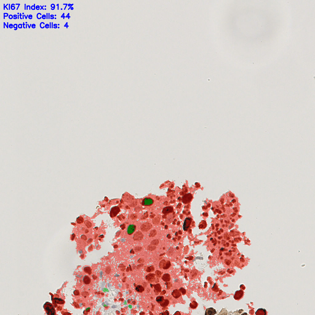slice_18_15_x16128_y13440.png