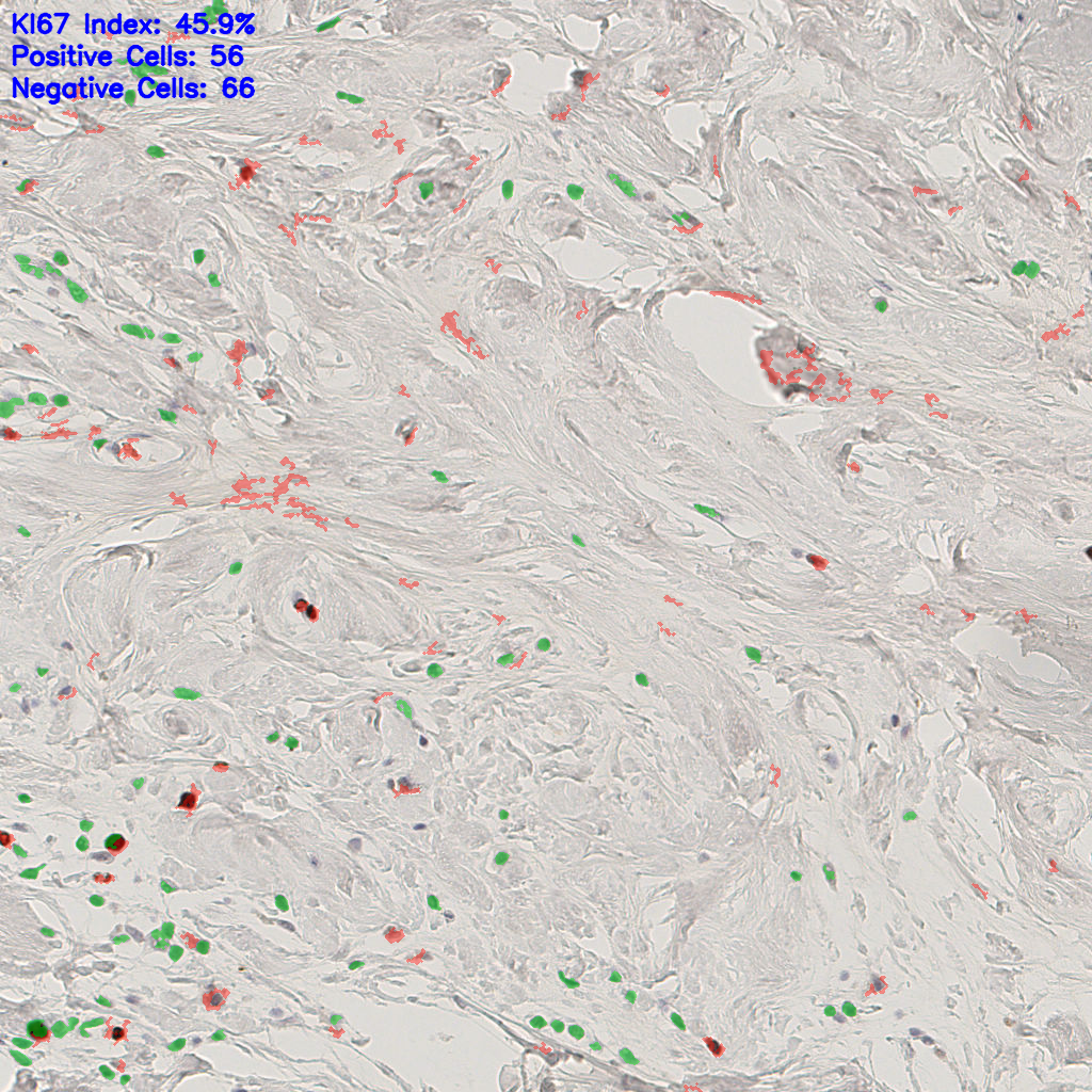 slice_40_6_x35840_y5376.png