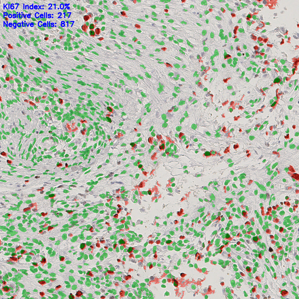 slice_42_16_x37632_y14336.png