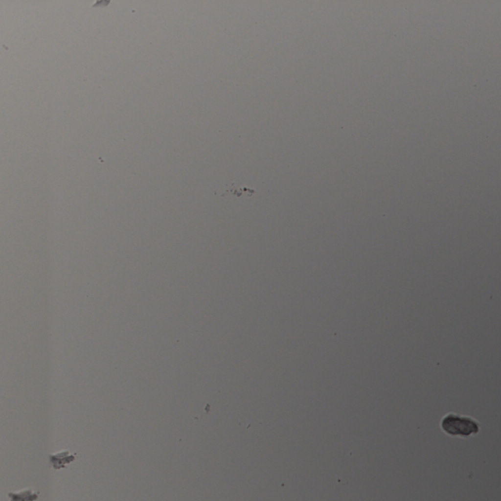 slice_24_20_x21504_y17920.png