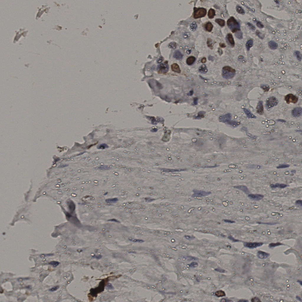 slice_24_24_x21504_y21504.png