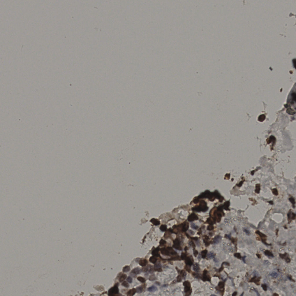 slice_30_18_x26880_y16128.png