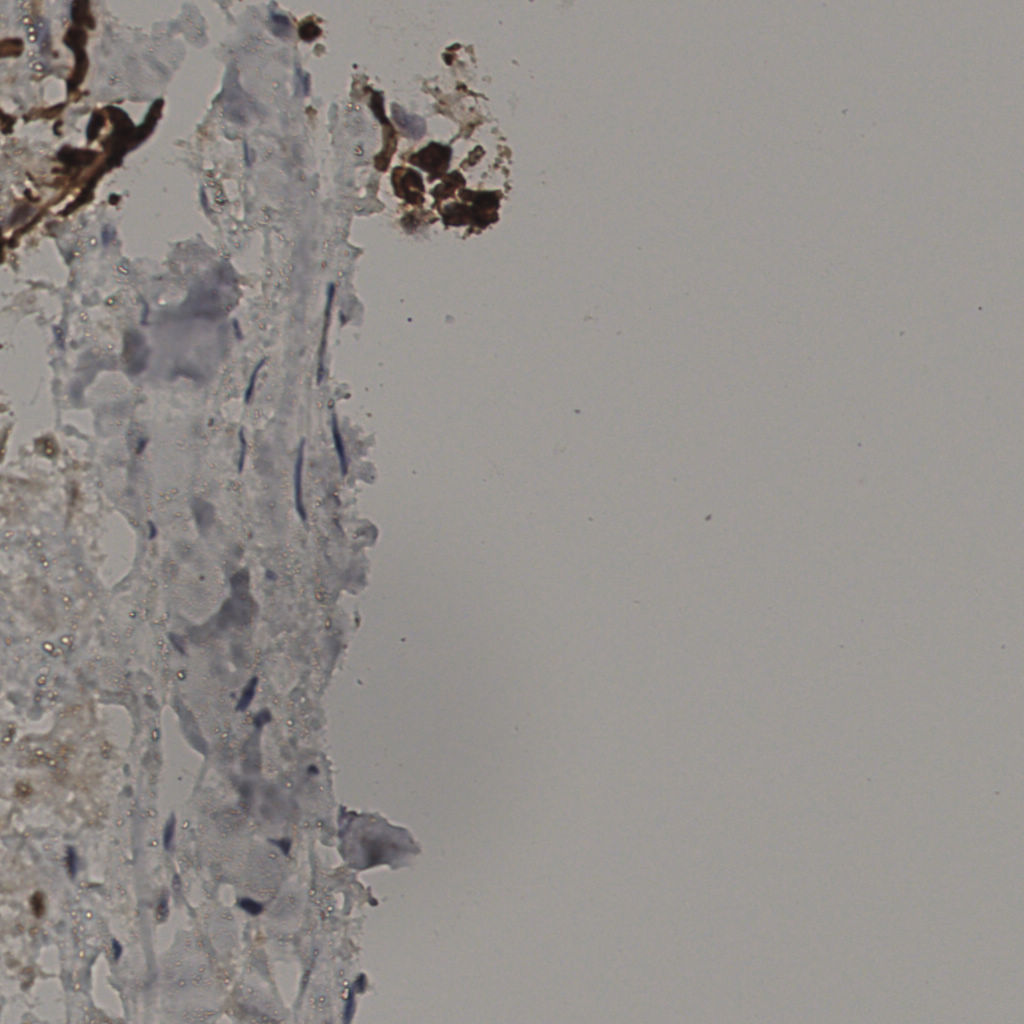 slice_32_29_x28672_y25984.png