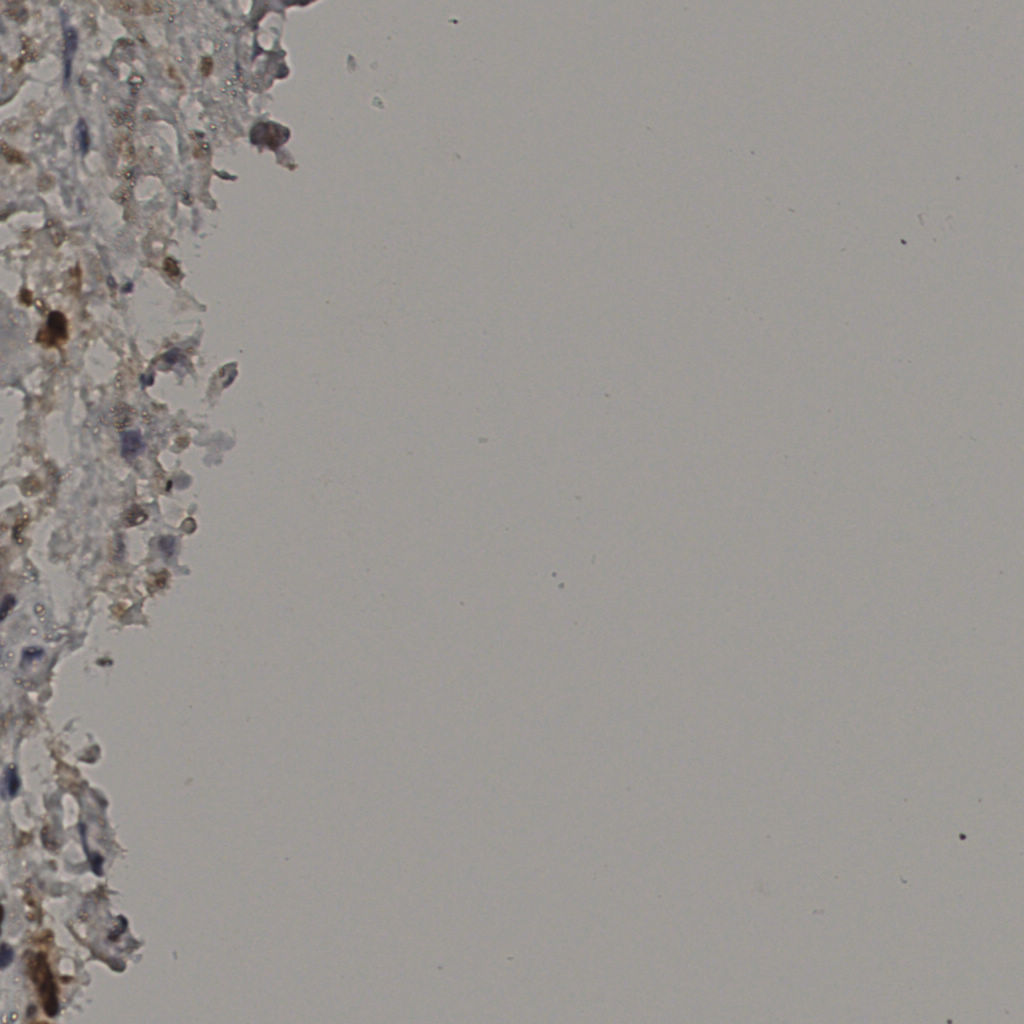 slice_32_32_x28672_y28672.png