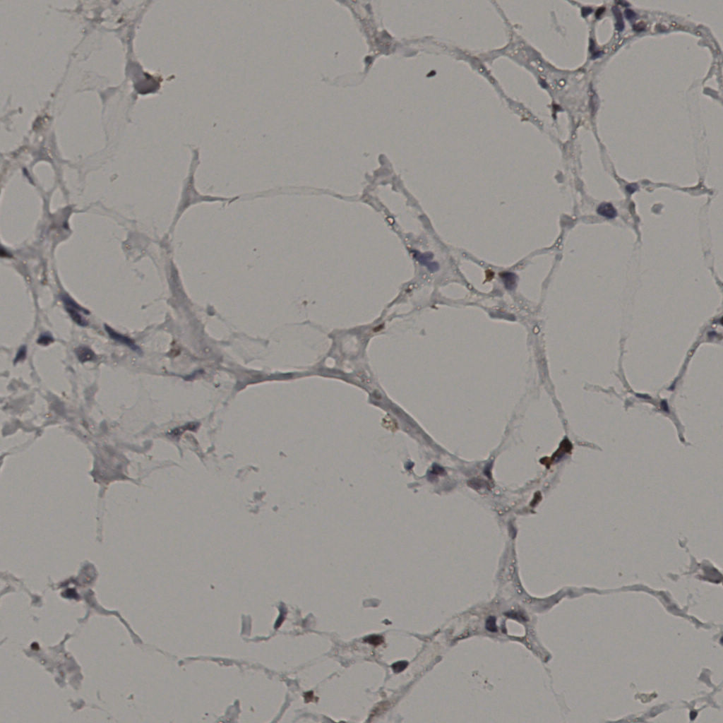 slice_36_8_x32256_y7168.png