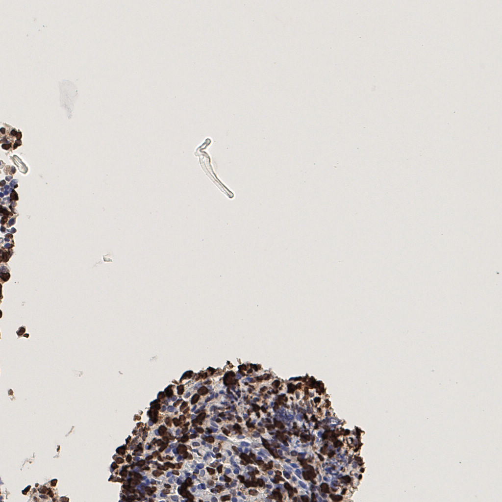 slice_45_3_x40320_y2688.png