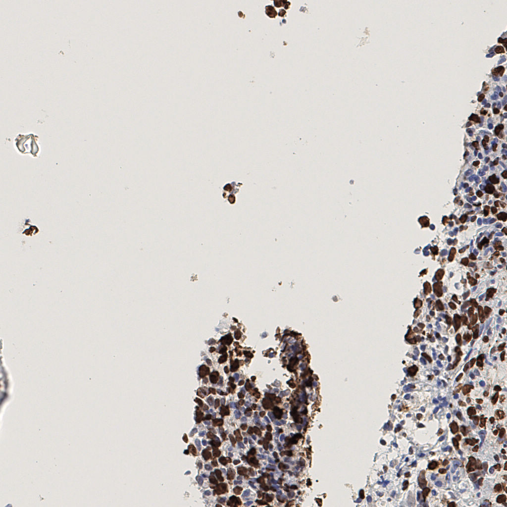 slice_45_8_x40320_y7168.png
