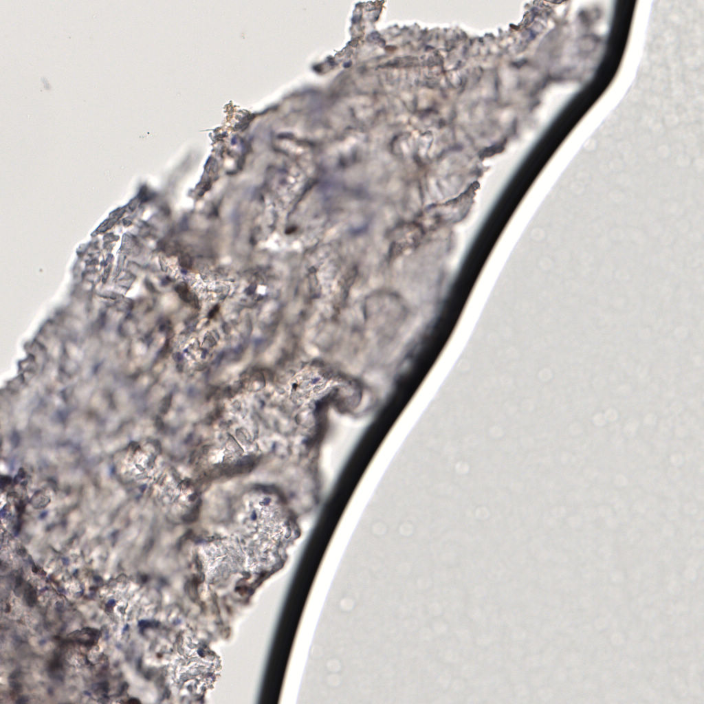 slice_59_8_x52864_y7168.png