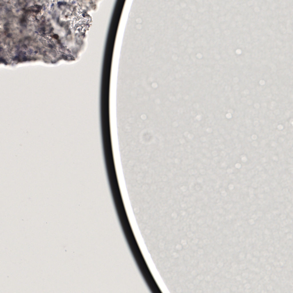 slice_59_9_x52864_y8064.png
