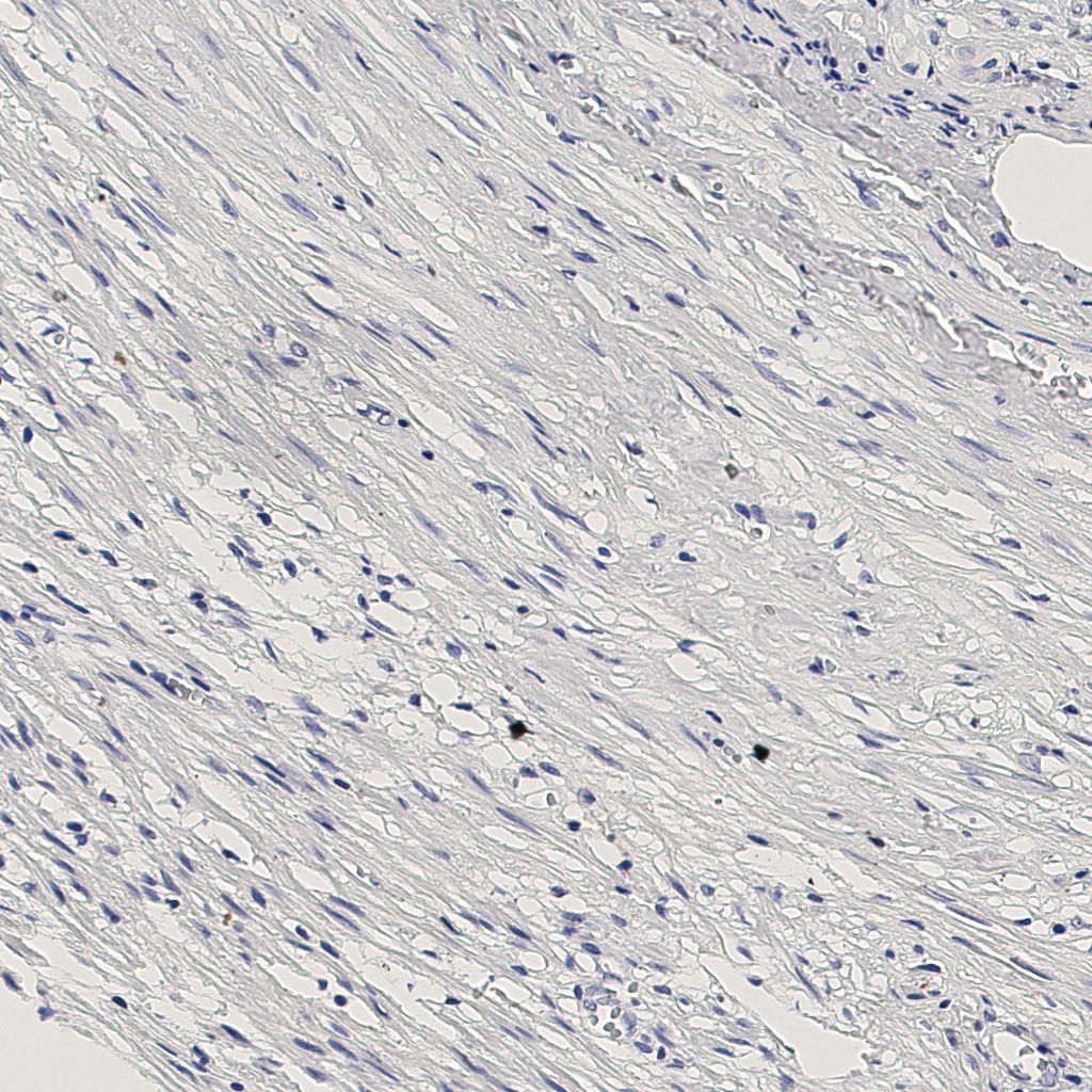 slice_6_27_x5376_y24192.png