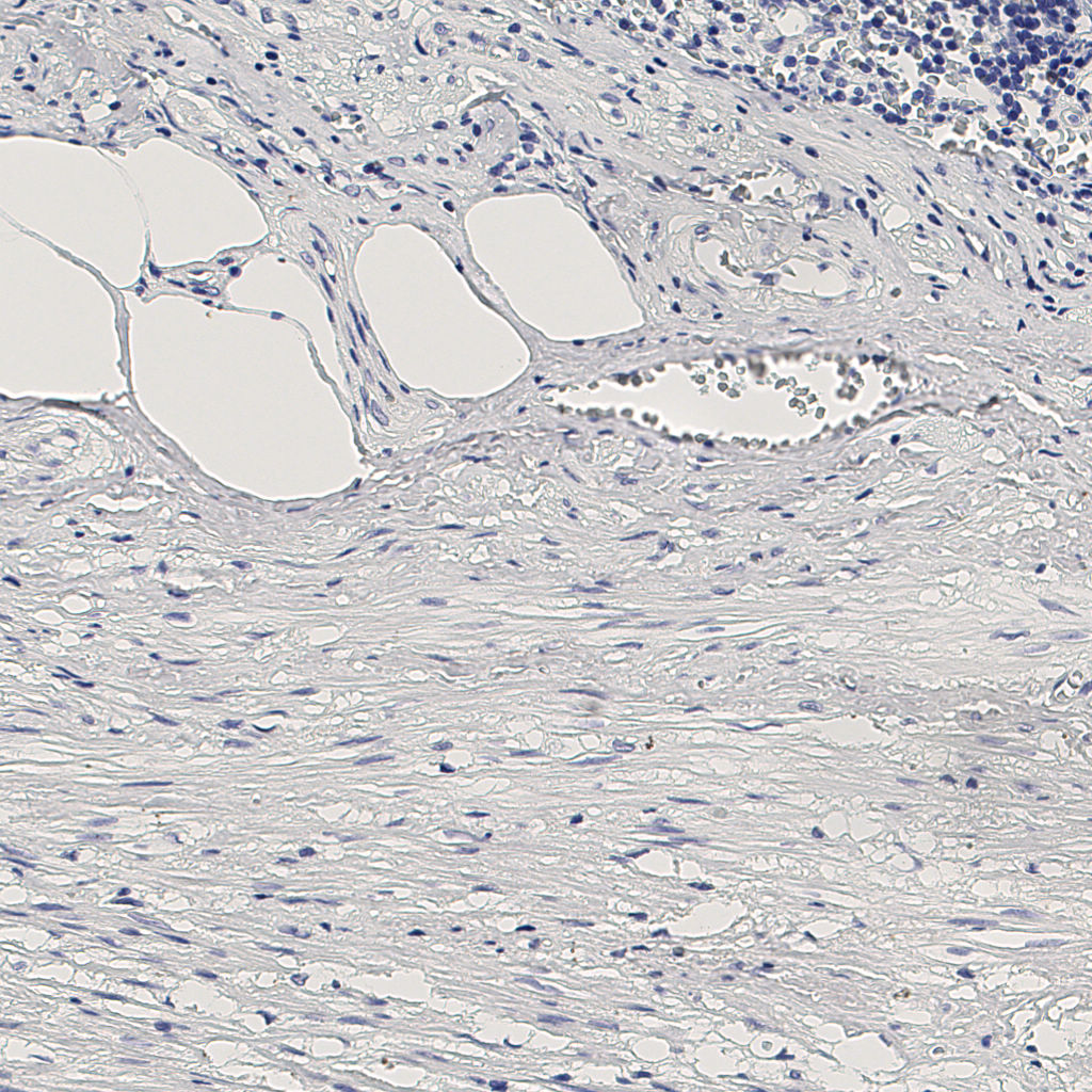 slice_8_27_x7168_y24192.png