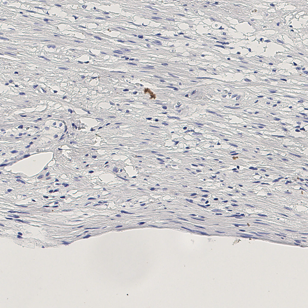 slice_8_28_x7168_y25088.png