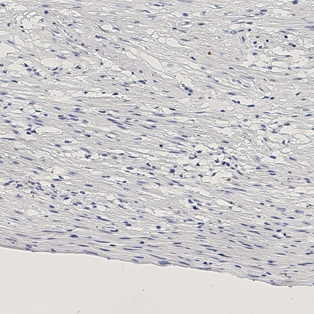 slice_9_28_x8064_y25088.png