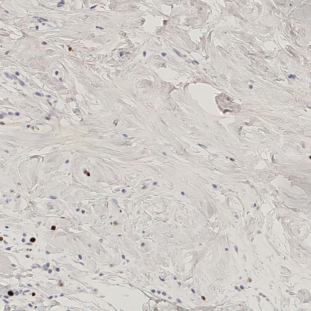 slice_40_6_x35840_y5376.png